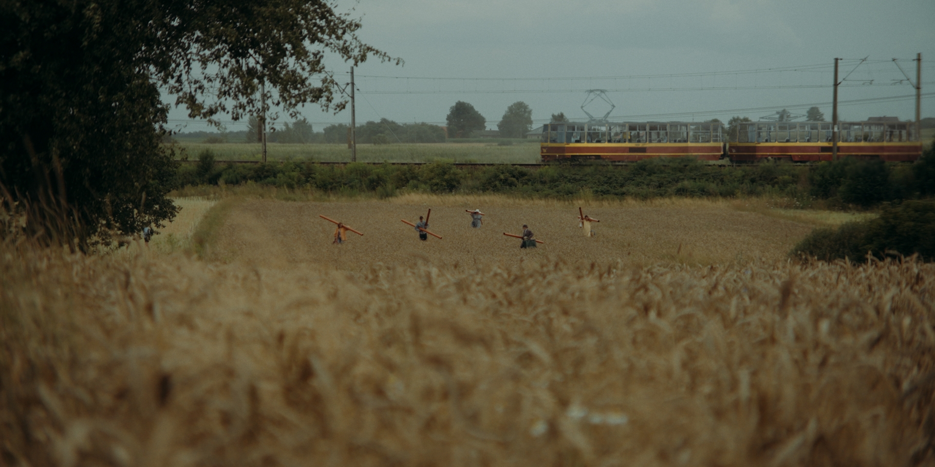 nff2025_Short-Film-Competiton_Ends-And-Beginnings_02.jpg